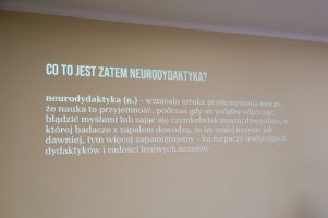 Neurodydaktyka w praktyce - szkolenia dla wykładowców w UMB