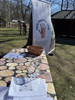 Leśny spacer dla zdrowia ze Studenckim Kołem Naukowym Prophi Leśny spacer dla zdrowia ze Studenckim Kołem Naukowym Prophi