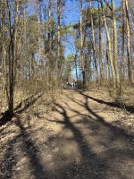 Leśny spacer dla zdrowia ze Studenckim Kołem Naukowym Prophi Leśny spacer dla zdrowia ze Studenckim Kołem Naukowym Prophi