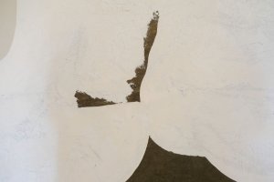 Galeria Arsenał i sztuka współczesna w Pałacu i w UMB