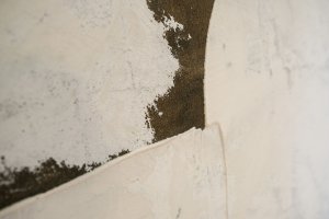 Galeria Arsenał i sztuka współczesna w Pałacu i w UMB