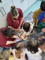 Czym skorupka za młodu nasiąknie … studenci ratownictwa medycznego edukują 7- latków