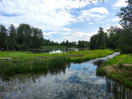 “Welcome to Białowieża – II Erasmus+ Sightseeing Day”