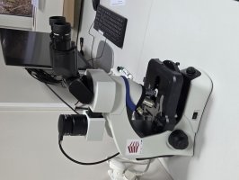 etap II - system dydaktyczny histologicznych pracowni mikroskopowych - Zakład Histologii i Embriologii 