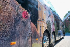 Studiuj w Białymstoku. Studiuj w Podlaskiem