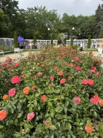 UMB i USK partnerami kampanii Żółta Kanapa – relaksująca niedziela w Różance „na stres” UMB i USK partnerami kampanii Żółta Kanapa – relaksująca niedziela w Różance „na stres”