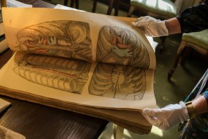 Niezwykły Zjazd Absolwentów AMB/UMB 