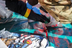 I mistrzostwa w udzielaniu pierwszej pomocy zorganizowane przez UMB I mistrzostwa w udzielaniu pierwszej pomocy zorganizowane przez UMB