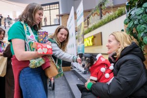 Blisko 39 tysięcy złotych zebrali wolontariusze UMB na rzecz WOŚP Blisko 39 tysięcy złotych zebrali wolontariusze UMB na rzecz WOŚP