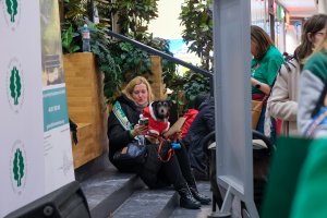 Blisko 39 tysięcy złotych zebrali wolontariusze UMB na rzecz WOŚP Blisko 39 tysięcy złotych zebrali wolontariusze UMB na rzecz WOŚP