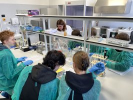 Odbyły się kolejne zajęcia pokazowe UMB w ramach projektu StopDrop