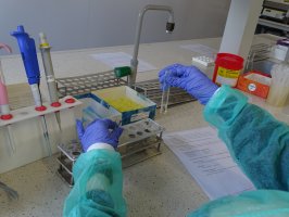 Kolejna edycja akcji „Studiuj w UMB” odbyła się 21 lutego Kolejna edycja akcji „Studiuj w UMB” odbyła się 21 lutego