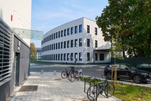 Światowy Dzień Walki z Depresją. Jaki wpływ na chorobę mają pogoda, odporność i relacje w domu?