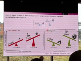 Udział zespołu UMB w międzynarodowym spotkaniu dotyczącym kalorymetrii pośredniej