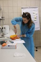 Przedstawiciele Uniwersytetu Europejskiego EUNICE szkolili się w UMB