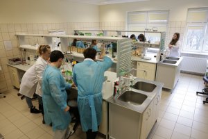 Przedstawiciele Uniwersytetu Europejskiego EUNICE szkolili się w UMB