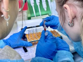 Projekt StopDrop nie zwalnia tempa – kolejne zajęcia za nami