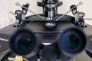 In vitro: stawiamy na kompleksowość i skuteczność - wizyta Wiceminister zdrowia w USK In vitro: stawiamy na kompleksowość i skuteczność - wizyta Wiceminister zdrowia w USK