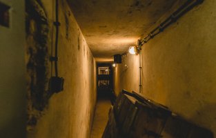 Majówka u Branickich. Zapraszamy do naszego Muzeum 