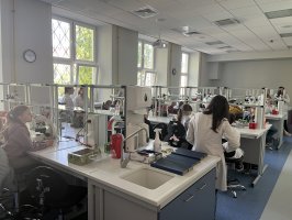 Dzień Otwarty UMB 2026 za nami Dzień Otwarty UMB 2026 za nami