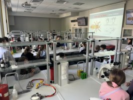 Dzień Otwarty UMB 2026 za nami Dzień Otwarty UMB 2026 za nami