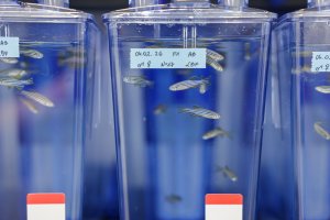 Małe laboratorium wielkich możliwości Małe laboratorium wielkich możliwości