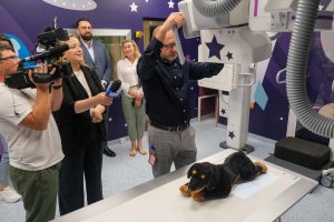 Bajkowa modernizacja w Zakładzie Radiologii UDSK Bajkowa modernizacja w Zakładzie Radiologii UDSK