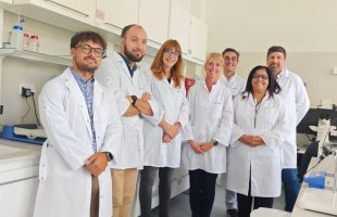 Delegacja Uniwersytetu w MONS z wizytą na UMB Delegacja Uniwersytetu w MONS z wizytą na UMB