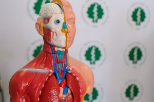UMB na Salonie Maturzystów Perspektywy w Białymstoku UMB na Salonie Maturzystów Perspektywy w Białymstoku