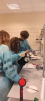 Dzień Zdrowia Środowiskowego Dzień Zdrowia Środowiskowego