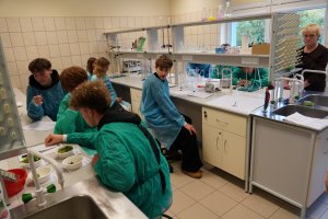 Dzień Zdrowia Środowiskowego Dzień Zdrowia Środowiskowego