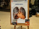 Festiwal Zdrowia - 25.02.2012