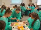 Warsztaty naukowe Wydziału Farmaceutycznego z Oddziałem Medycyny Laboratoryjnej  - 18.05.13