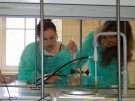 Warsztaty naukowe Wydziału Farmaceutycznego z Oddziałem Medycyny Laboratoryjnej  - 18.05.13