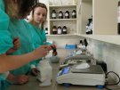 Warsztaty naukowe Wydziału Farmaceutycznego z Oddziałem Medycyny Laboratoryjnej  - 18.05.13
