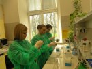 Uczniowie podczas ćwiczeń laboratoryjnych