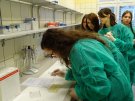 Samodzielna Pracownia Analizy Leków -uczniowie podczas warsztatów 