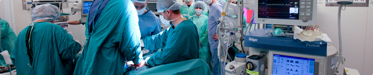The Doctor Bogna Kamila Koneczny Scholarship. An operating room.