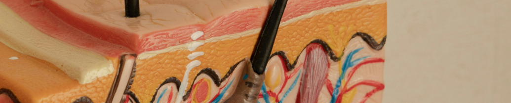 Science Publication / Conferences. 