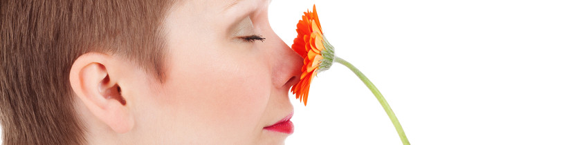 Studenckie Koło Naukowe. 