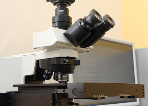 Department of Pharmaceutical Biochemistry