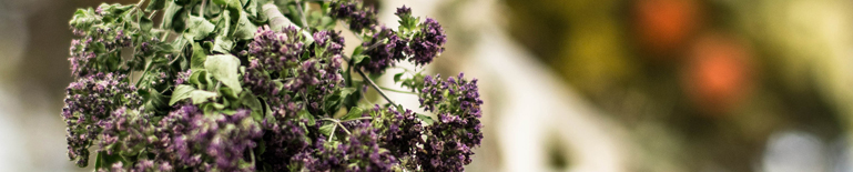 O Zakładzie/Aktualności. 