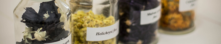 Farmacja (rok III, semestr V i VI) - Farmakognozja. Roślinne surowce lecznicze