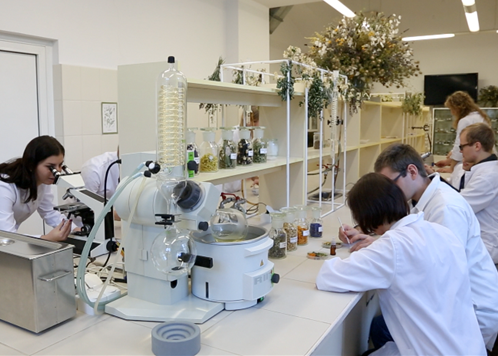 Studenci podczas pracy w laboratorium.