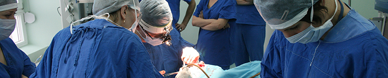 Staff. Operacja w Klinice Otolaryngologii