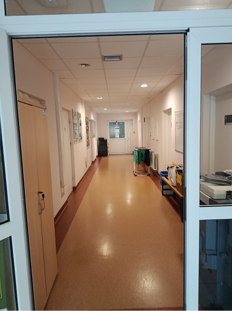 Opis alternatywny znajduje się w treści