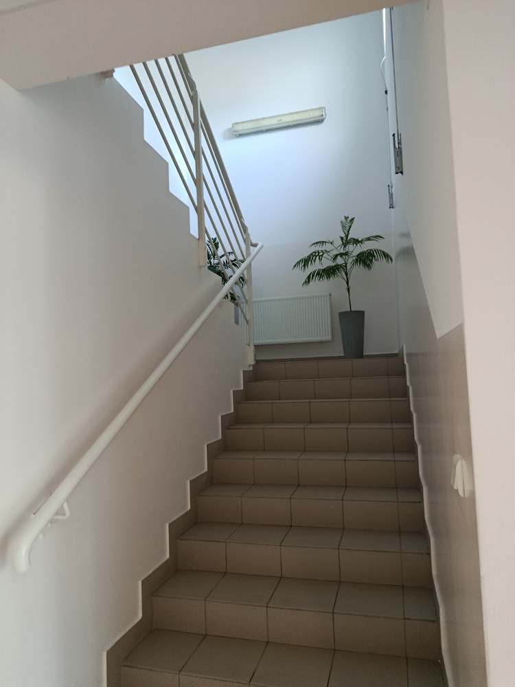 Opis alternatywny znajduje się w treści