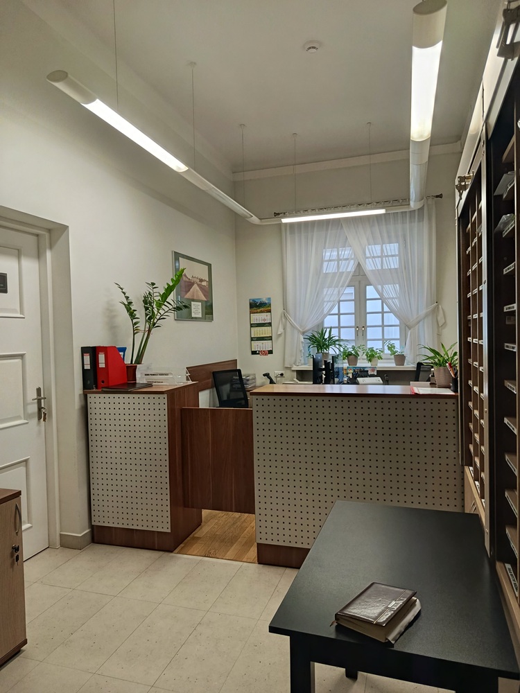 Opis alternatywny znajduje się w treści