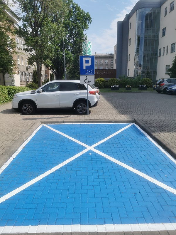 Opis alternatywny znajduje się w treści