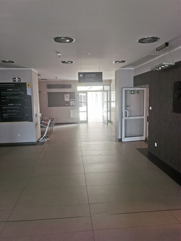 Opis altenatywny znajduje się w treści.